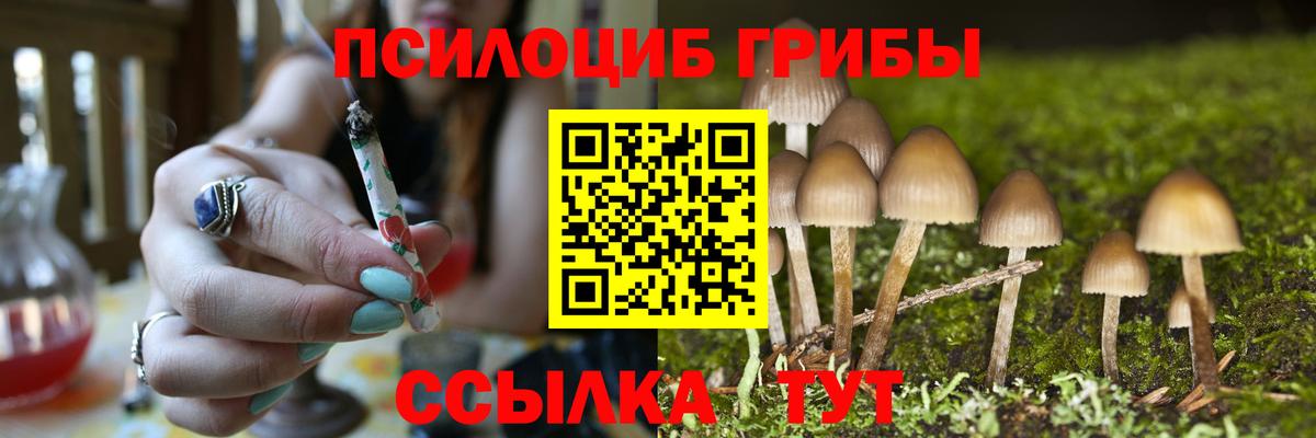 Псилоцибиновые грибы мицелий  Галлюциногенные грибы GOLDEN TEACHER  Иркутск  Вход с VPN 